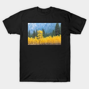 Golden Trees T-Shirt